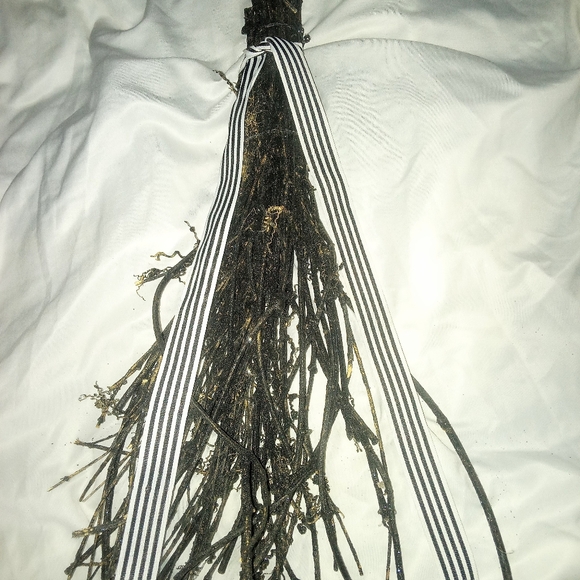 The Witch Is In Broomstick - Picture 3 of 4